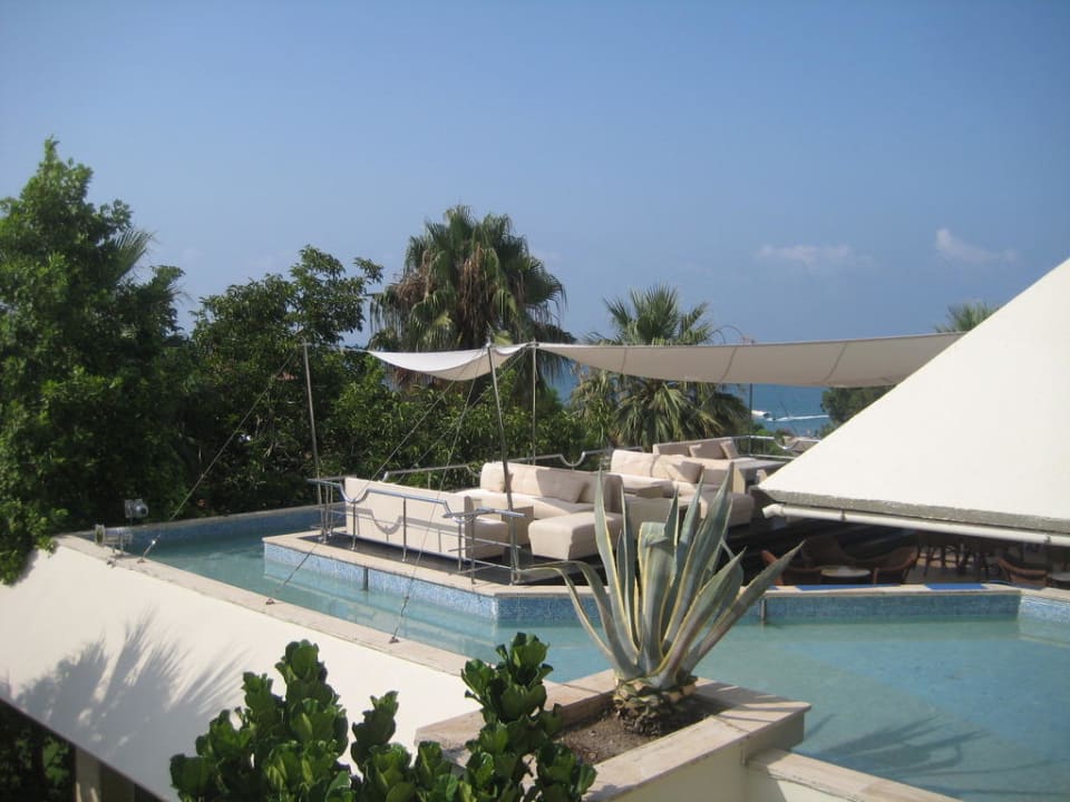 Bar Side Star Elegance