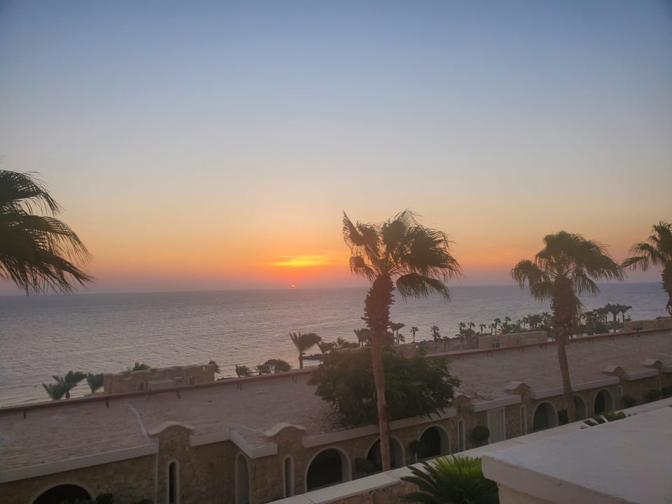 Zimmer Pickalbatros Citadel Resort