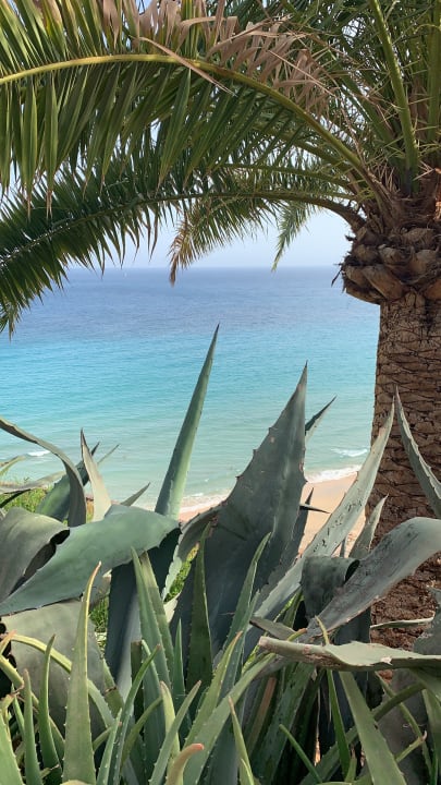 Außenansicht ROBINSON ESQUINZO PLAYA