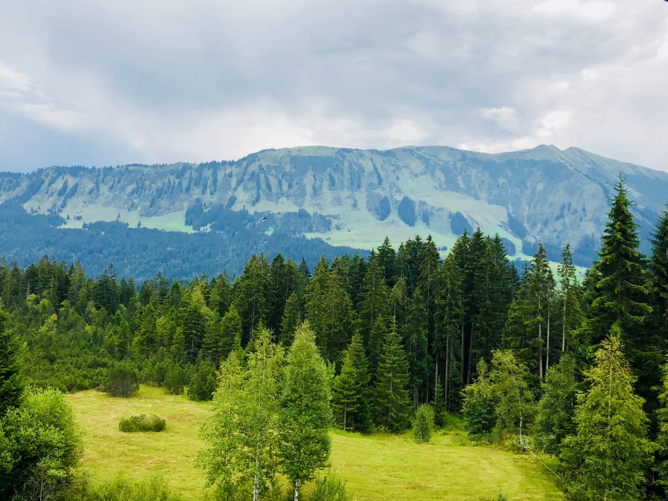 Ausblick Alpengasthof Hörnlepass