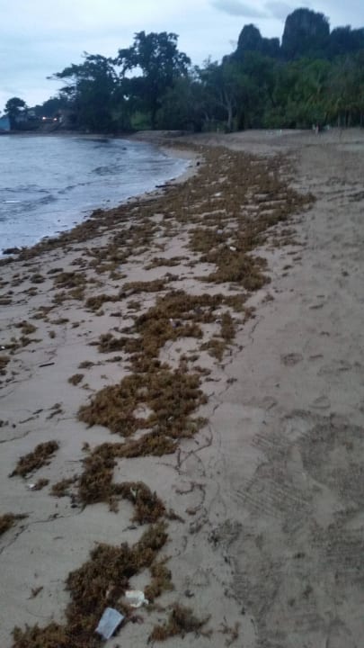 Strand voll Müll/Dreck Senator Puerto Plata Hotel