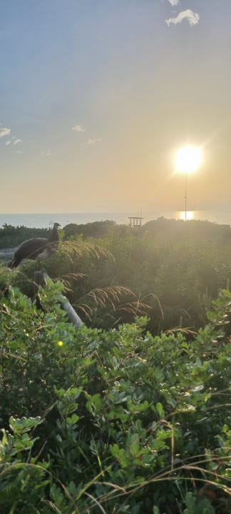 Ausblick Zafiro Bahia