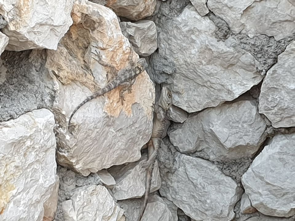 Sonstiges SENTIDO Port Royal Villas & Spa