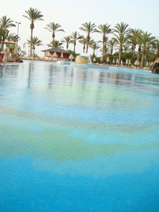 Großer, schöner Pool SBH Hotel Costa Calma Palace