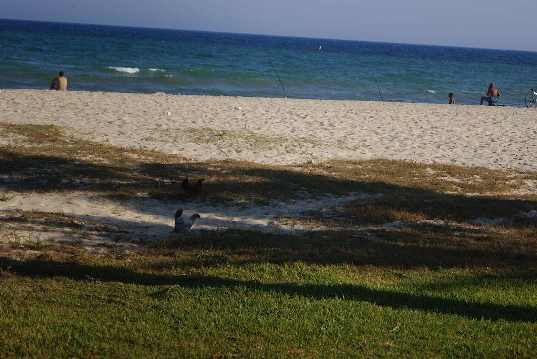 Plaża Palmyra Club Nabeul