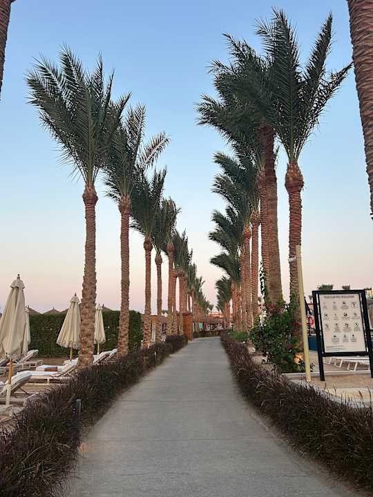 Gartenanlage Sunrise Tucana Resort - Grand Select