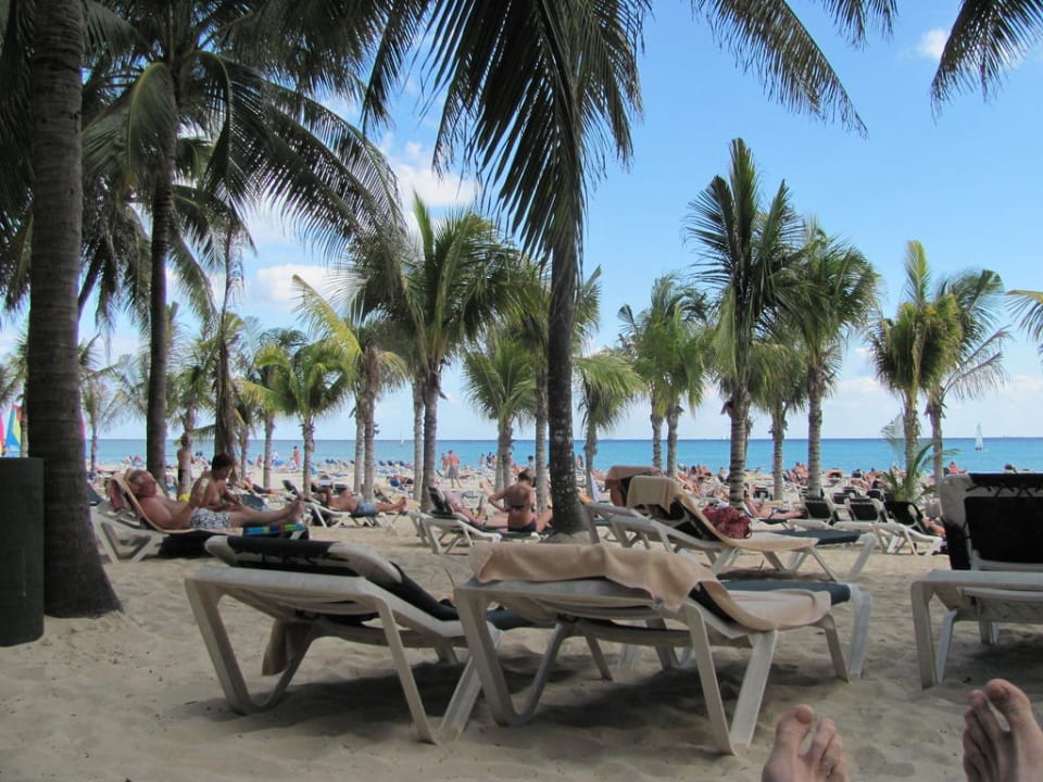 Traumausblick Hotel Riu Tequila