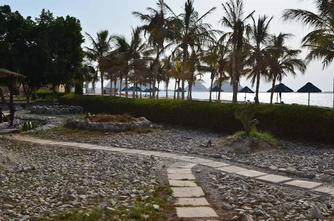 Von der Terrasse nur kurz bis ans Wasser BM Beach Resort