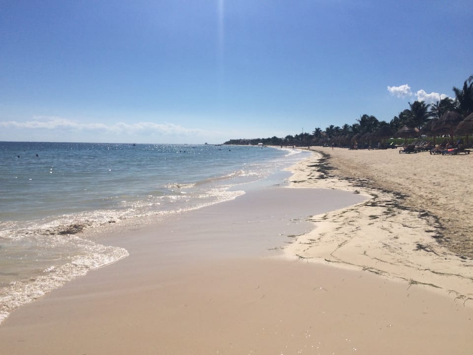 Strand Ocean Coral & Turquesa by H10