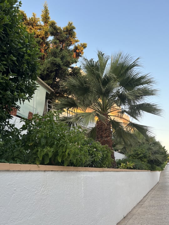 Außenansicht Hotel Memphis Beach