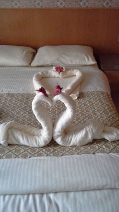 Kreation unseres Zimmerboys 5418 Pickalbatros Dana Beach Resort - Hurghada