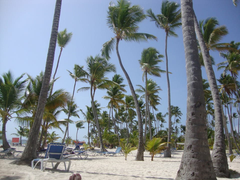 Hotelstrand links, ruhig Villas Bavaro Resort & Spa