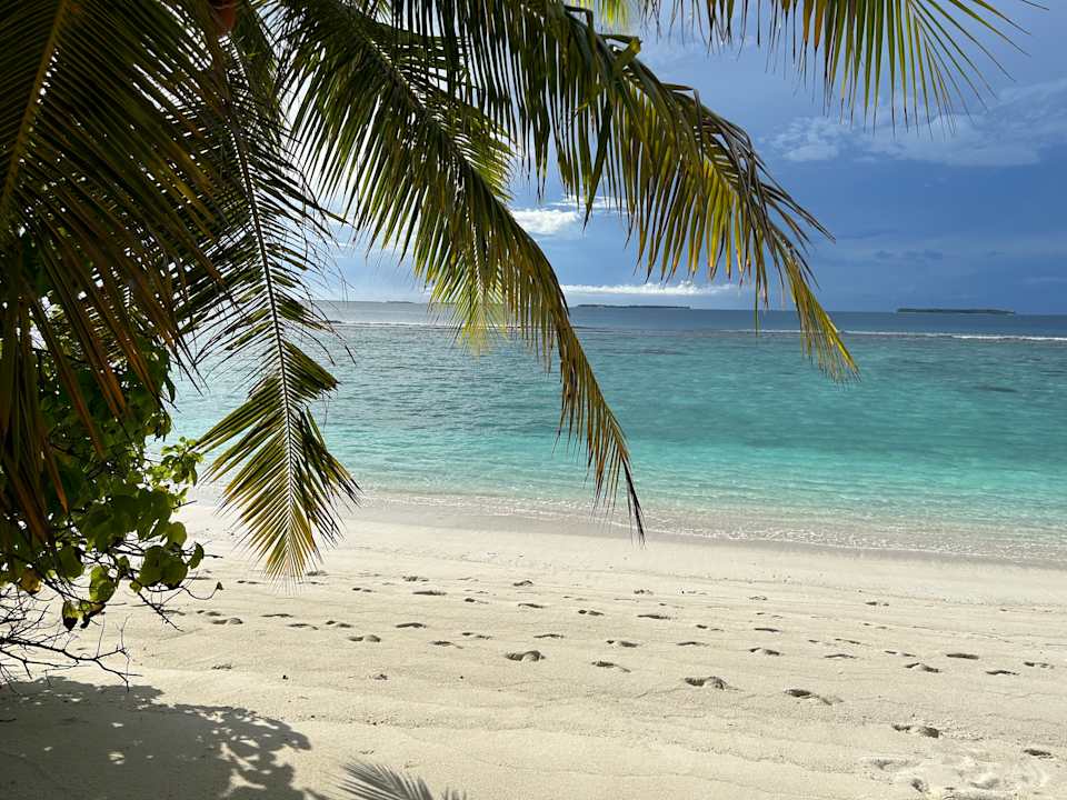 Ausblick Coco Palm Dhuni Kolhu