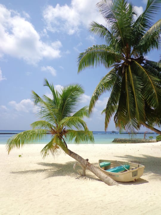 Schiefe Palme mit Boot Summer Island Maldives