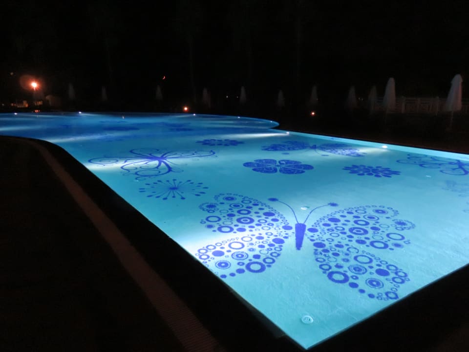 Pool Papillon Belvil