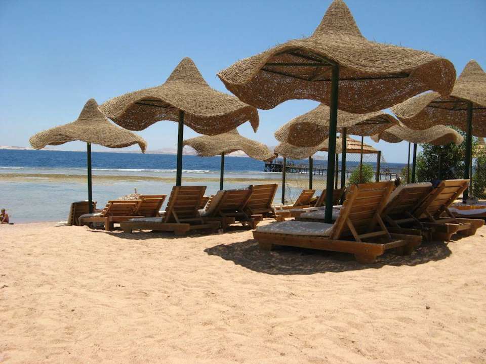 Plaża Palmyra Amar El Zaman Aqua Park