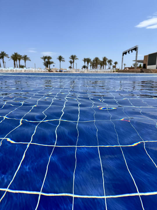 Pool Pickalbatros Vita Resort - Portofino Marsa Alam