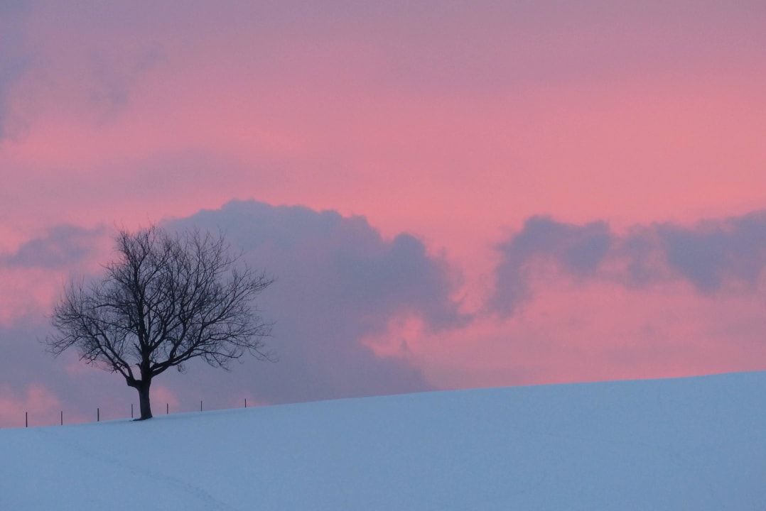 Abendstimmung Haubers Naturresort
