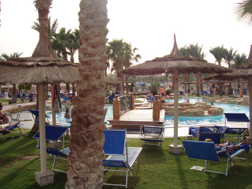 Pool Beach Albatros Resort