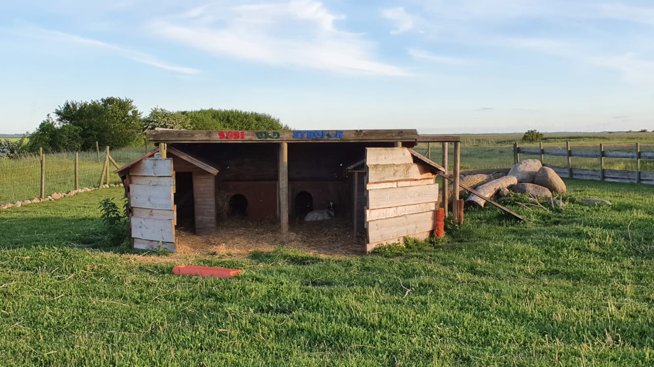 Außenansicht Rügen-Ferienhof