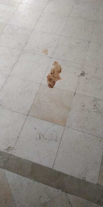 Außenansicht Ghazala Gardens