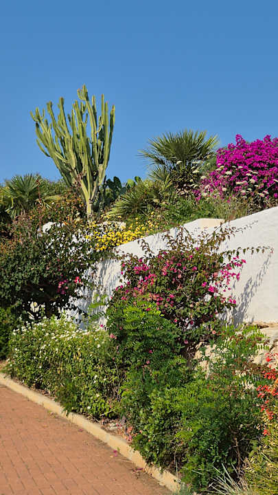 Gartenanlage VOI Marsa Siclà Essentia