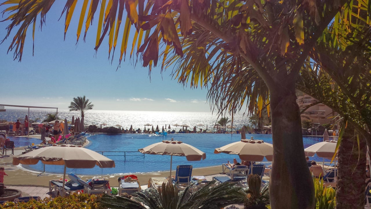 Super Ausblick Hotel Riu Buenavista