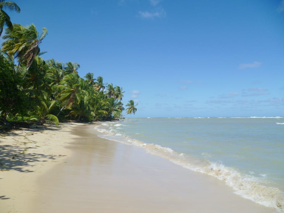 Wenige Minuten vom Hotel Bahia Principe Grand El Portillo