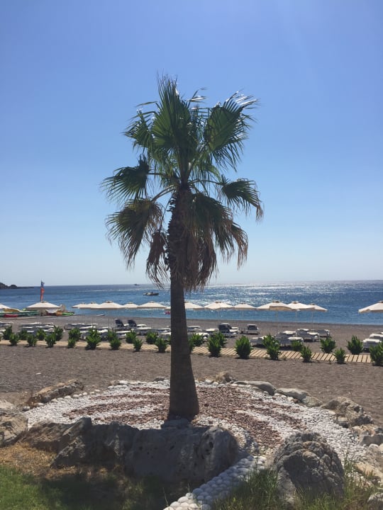 Strand Rodos Palladium Leisure & Wellness