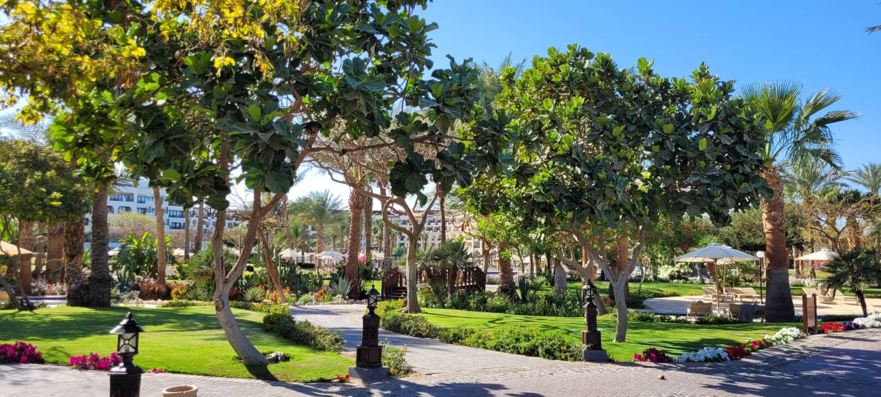 Gartenanlage Steigenberger ALDAU Beach Hotel