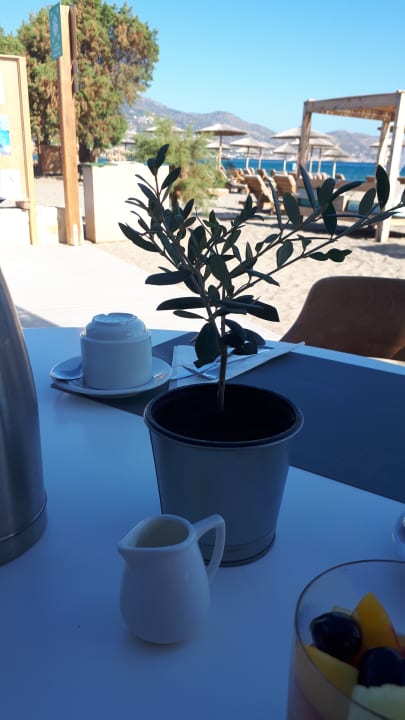 Gastro Paralos Lifestyle Beach