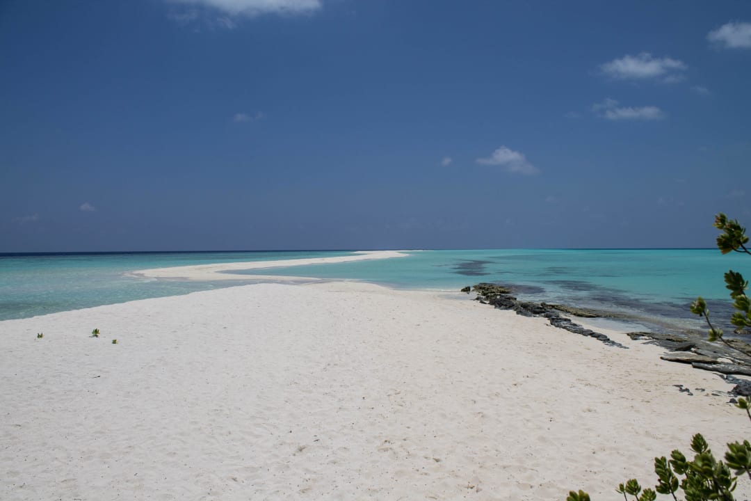 Sandbank Kuramathi Maldives