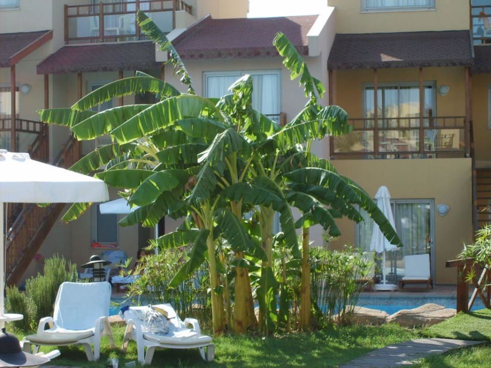 Gartenanlage Selectum Family Resort Side