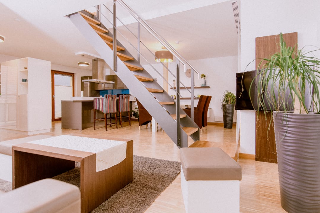 Zimmer Luxury Boarding Suites