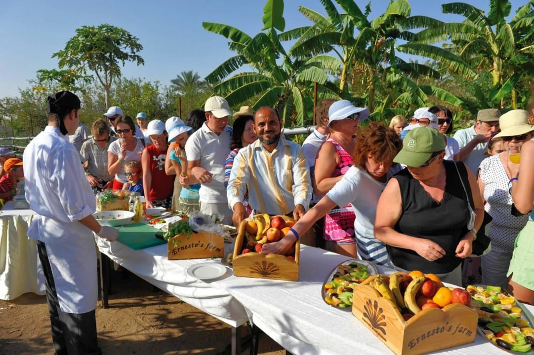 Farm Domina Coral Bay Resort, Diving , Spa & Casino