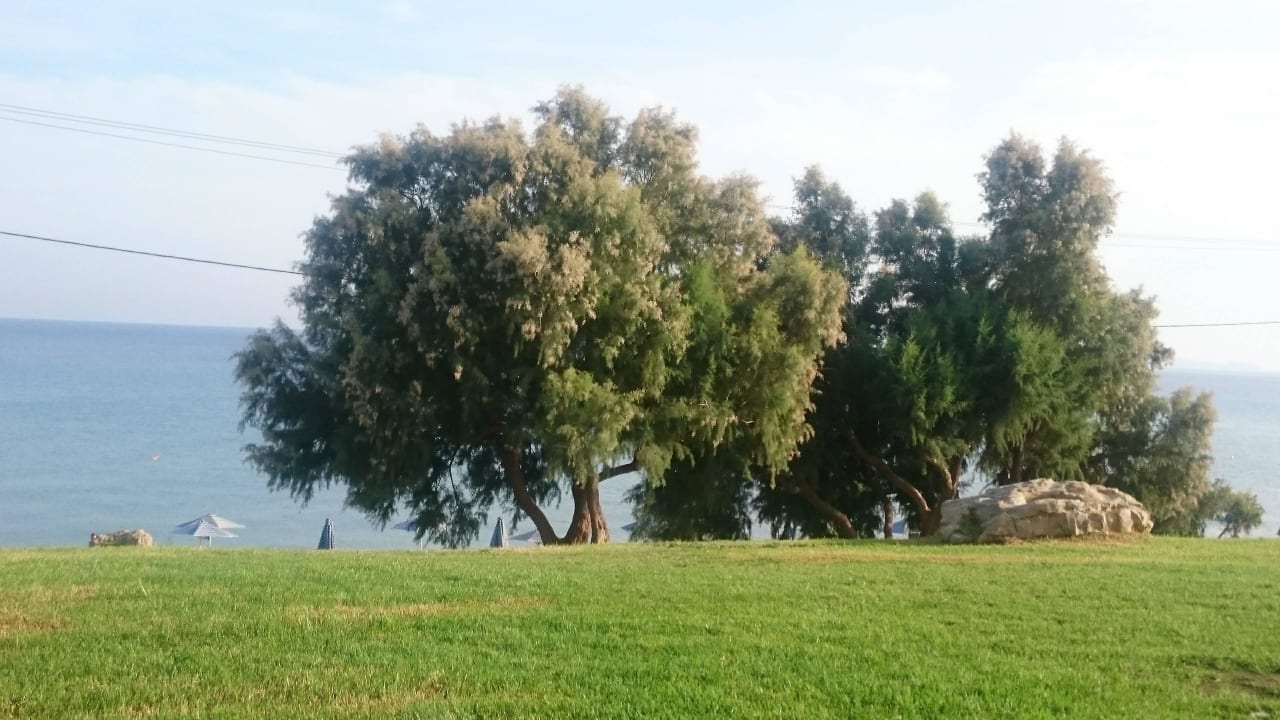 Wodok z baru przy basenie Atlantica Mikri Poli Kos
