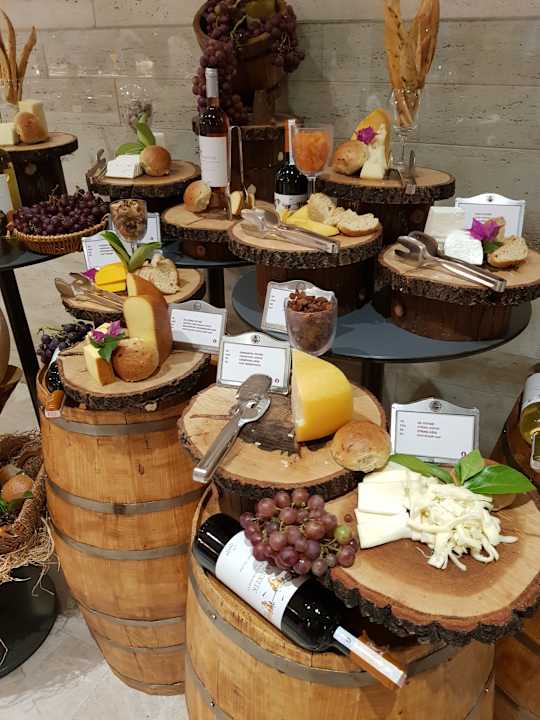 Gastro Acanthus Cennet Barut Collection