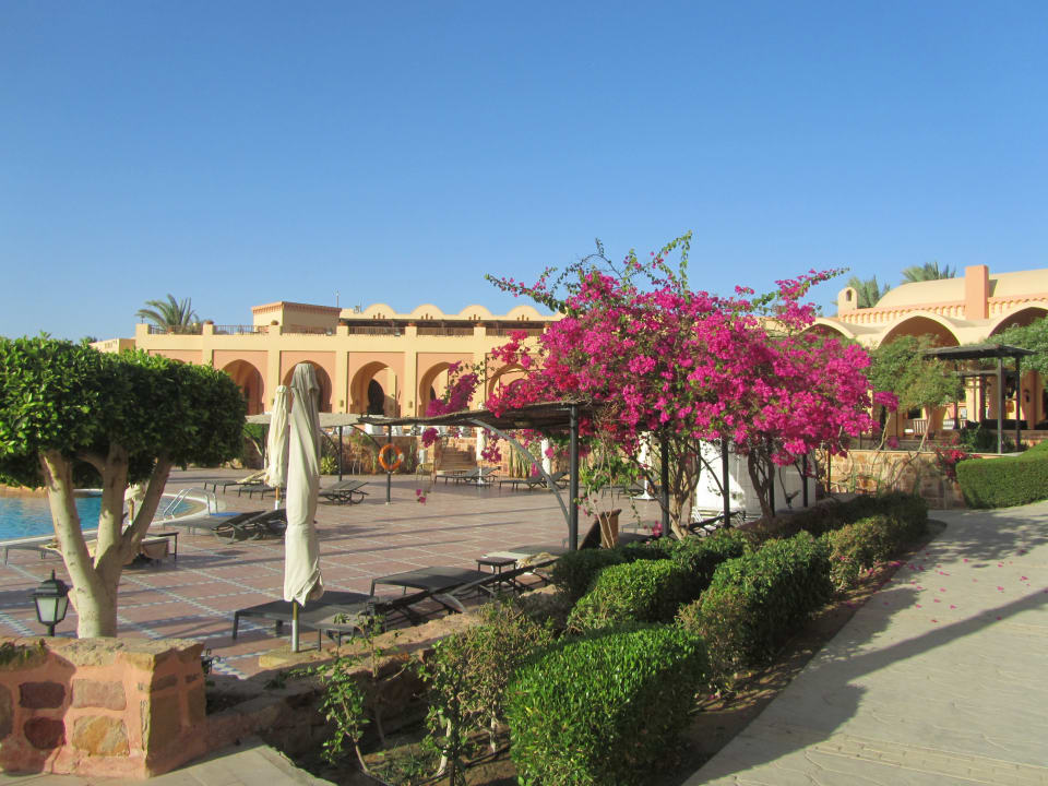 Garten Steigenberger Coraya Beach - Adults only