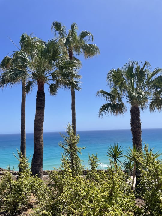 Ausblick ROBINSON ESQUINZO PLAYA