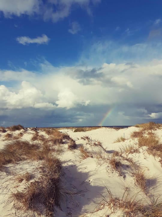 Außenansicht Regenbogen Ferienanlage Prerow