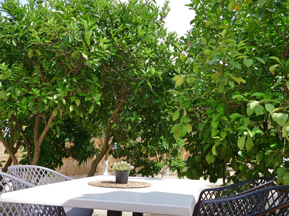 Gastro Komitsa Luxury Apartments