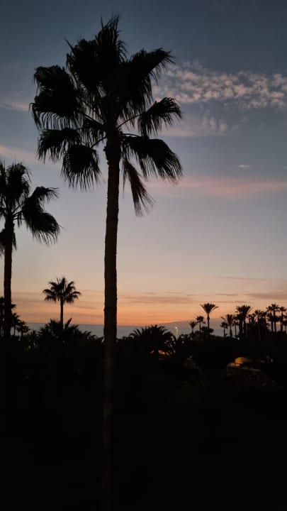Ausblick Hotel Riu Palace Tenerife