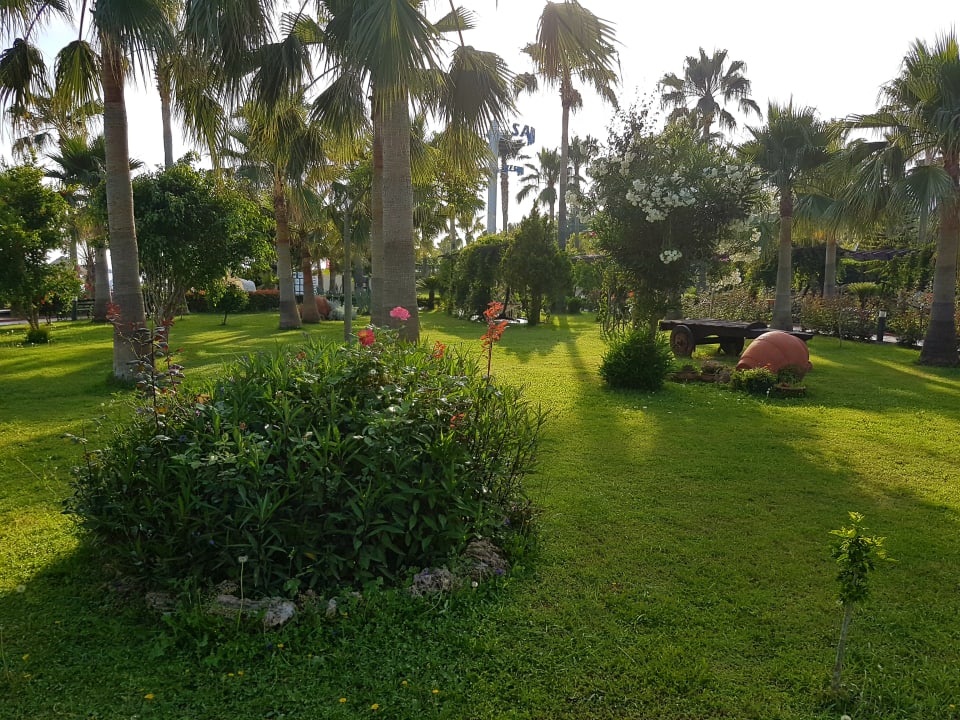 Sehr schöner Garten Saphir Resort & Spa