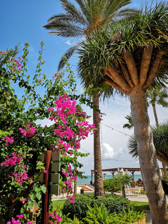 Ausblick Los Angeles Denia