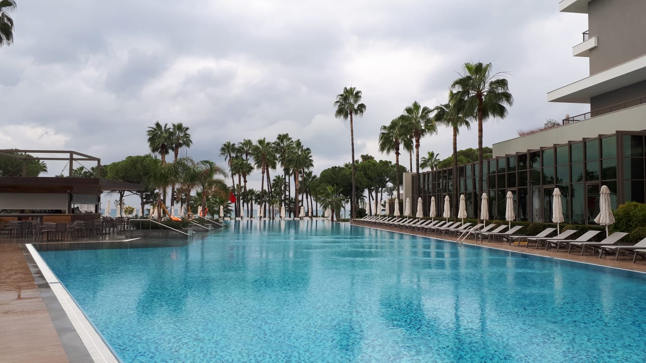 Pool Acanthus Cennet Barut Collection