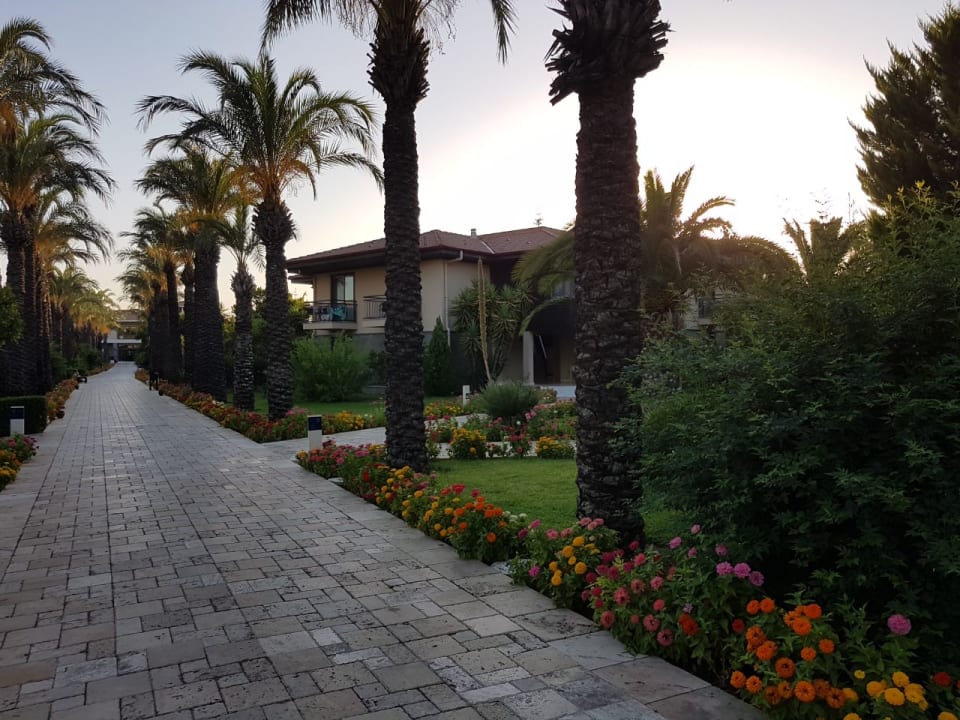 Gartenanlage TUI BLUE Palm Garden