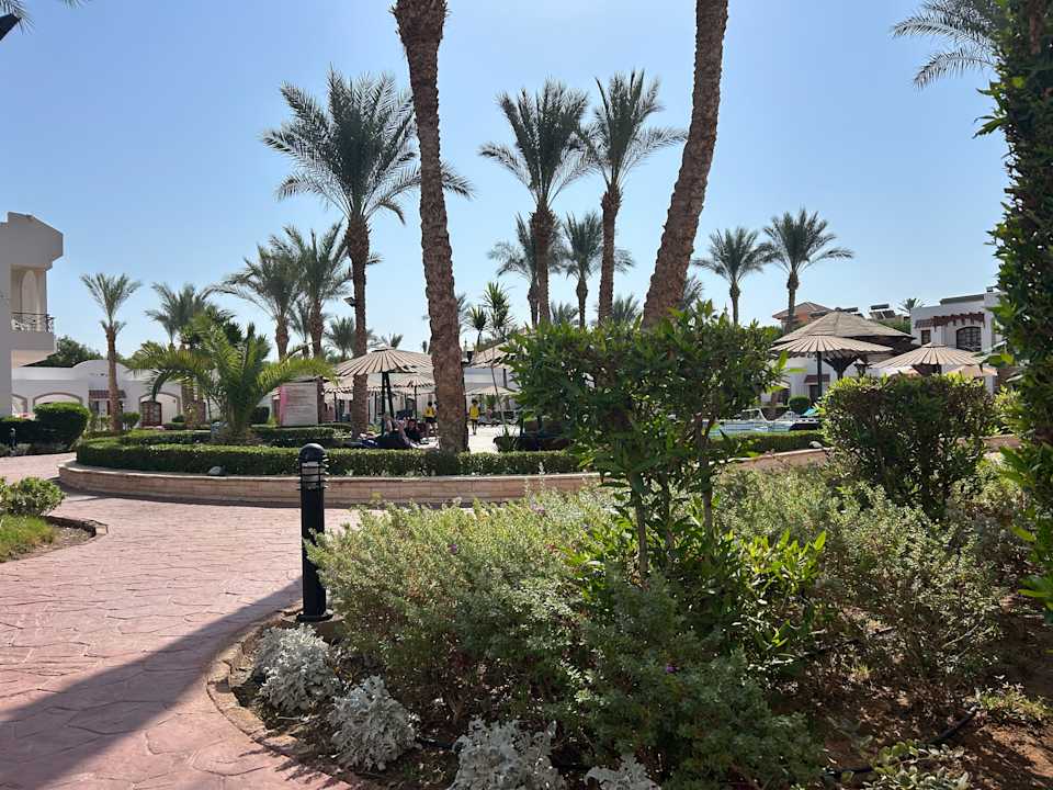 Gartenanlage Coral Hills Resort Sharm El-Sheikh