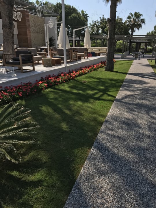 Gartenanlage Acanthus Cennet Barut Collection