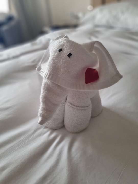 Zimmer Anantara The Palm Dubai Resort