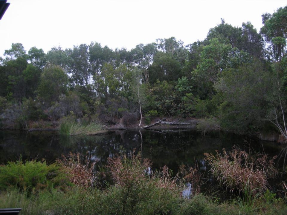 Blick von unserer Terrasse Kingfisher Bay Resort
